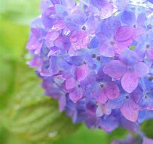 6月イベントスケジュールのご案内